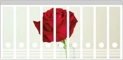 Produktbild von Wallario Ordnerrücken Sticker, selbstklebend für breite Ordner, 9 Stück, Motiv Rote Rose in Glasvase