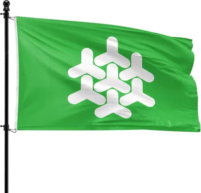 Imagen del producto de Bandera del municipio de Dronten, 90 x 150 cm, de poliéster, para asta de bandera