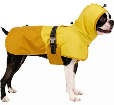 Immagine prodotto di Impermeabile per cani di taglia grande, colore giallo, con cappuccio