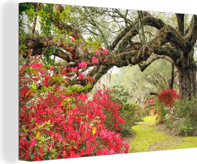Produktbild von OneMillionCanvasses® - Leinwandbilder - 140x90 cm, Azalee in der Nähe eines Baumes, Wandbilder Kunstdruck Wanddekoration
