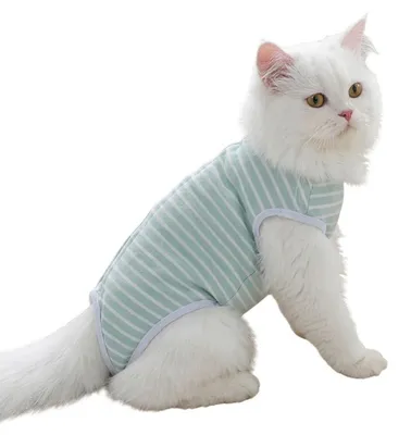Produktbild von Professionelles Erholungspaket für Katzen nach einer Operation