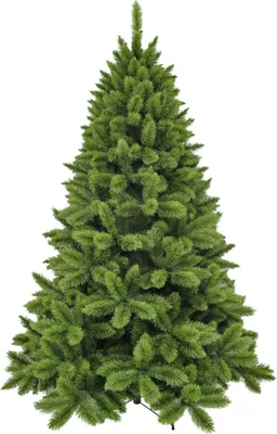 Image de Triumph Tree Arbre de Noël artificiel Camden - 122x122x185 cm - Aiguille dure - Vert