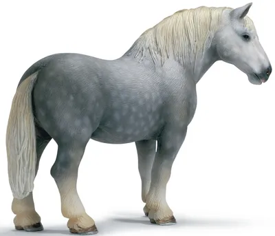 Produktbild von schleich Percheron Hengst, 3 Jahr(e), Grau, Kunststoff