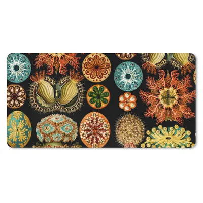 Produktbild von MuchoWow® Schreibtischunterlage Vintage - Ernst Haeckel - Meerestier - Natur - Meer - Kunst 80x40 cm - XXL Mauspad - Gaming Mauspad