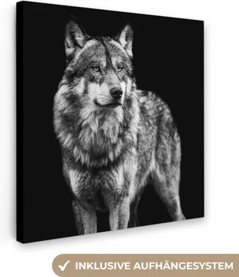 Zdjęcie produktu dla MuchoWow® - Obraz na płótnie - Wilk - Zwierzęta - Dziki - Czarny - Biały, fototapeta, dekoracja ścienna, obrazy do salonu, 50x50cm