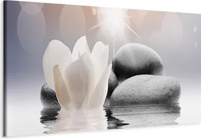 Produktbild von Italienischer Leinwand Leinwandbild - Pebbles in Water (1 Part) Narrow 135x45 cm Orient b-B-0268-b-a