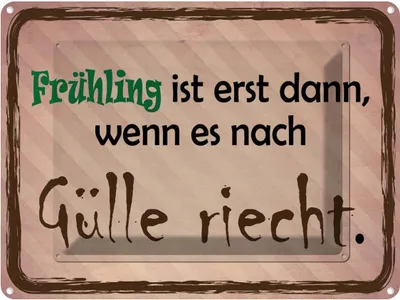 Produktbild von vianmo Blechschild 30x40 cm Frühling ist wenn Gülle riecht Spruch Zitat