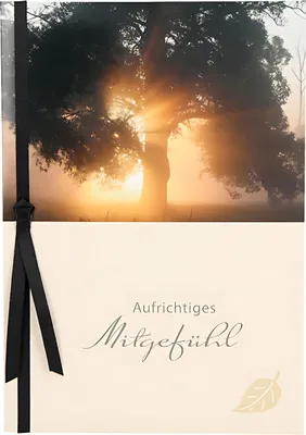 Produktbild von Trauerkarte Motiv 14, Aufrichtiges Mitgefühl