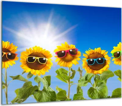 Produktbild von Herdabdeckplatten Glaskeramikkochfeld-Abdeckung Spritzschutz Glas 60x52cm Blumen
