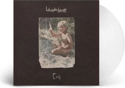 Obrázok produktu pre Wunderhorse: Wunderhorse: (Limited Indie Edition) (Crystal Clear Vinyl) - - (LP / C)