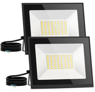 LED-Außenstrahler 30 W, 2700 lm, IP65, 4000 K, 2er-Pack