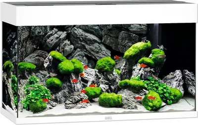 Produktbild von Aquarium JUWEL Rio 125 mit LED-Beleuchtung, Pumpe, Filter, Heizer ohne Unterschrank weiß
