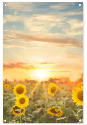Imagen del producto de Póster decorativo para jardín, de 90x60 cm, ideal para exteriores