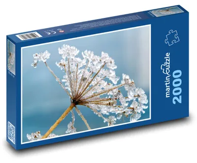 Obrázek produktu pro Puzzle 2000 Zmrzlý Bolehlav v Ledu - martinpuzzle