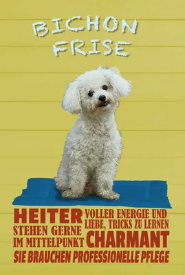 Produktbild von vianmo Holzschild 18x12 cm Hund Bichon Frise charmant Tier Haustier