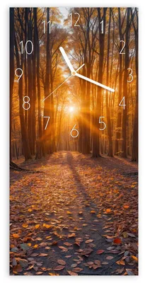 Produktbild von Wanduhr aus Glas mit Motiv Sonnenuntergang Wald- 30 x 60 cm - inkl. Aufhängesystem