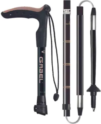 Immagine prodotto di Forcella Explorer Wired F.l Xtl poli Argento 97-110 cm Argento 97-110 cm