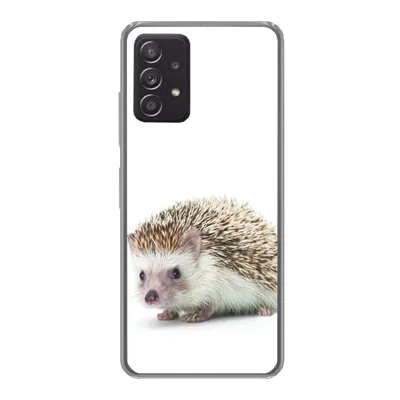 Produktbild von MuchoWow® Handyhülle Schutzhülle Hülle für Samsung galaxy a73 Igel - Tiere - Weiß Silikon Softcase Handy Hülle - Handyhülle