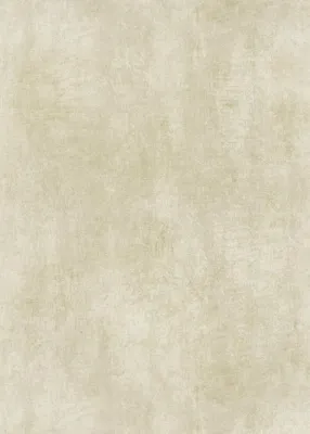 Produktbild von Erismann Vliestapete Putz beige 10,05 x 0,53 m