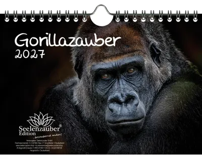 Produktbild von Gorillazauber DIN A5 Kalender für 2027 Affen - Seelenzauber