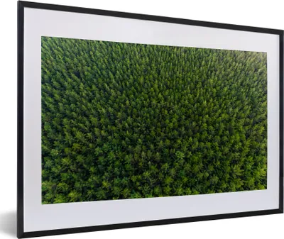 Produktbild von MuchoWow® MuchoWow® Gerahmtes Poster Wald - Neuseeland - Natur 60x40 cm - Poster mit zchwarzem Bilderrahmen - Schlafzimmer - Plakat in Rahmen - Drucken