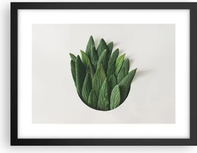 Produktbild von Gerahmtes Poster - Schwarzer Rahmen - Salbei Medizin Blätter - 40x30 cm - Wand Bild - Wanddeko - Wandbilder - Kunstposter - Wandposter - Bilderrahmen - Bilder - Kunstdruck - P2BAA40x30-4859