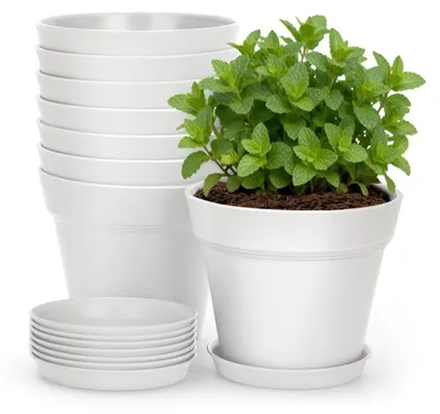 Obrázok produktu pre Kvetináče s podstavcami, 8 kusov, priemer 10 cm, plast, biela farba, vhodné na kaktusy a bylinky