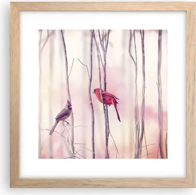 Produktbild von Gerahmtes Poster - Rahmen in heller Eiche - Vögel Kardinal Scharlachrot - 30x30 cm - Wand Bild - Wanddeko - Wandbilder - Wandposter - Bilderrahmen - Bilder - Kunstdruck - Wandbild - P2NAC30x30-4256