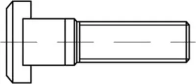 Produktbild von DIN 787 T-Nutenschraube 8.8 18 M 16 x 100 S 10 Stk