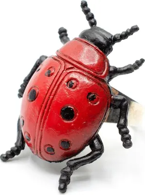 Produktbild von Marienkäfer Miniblings Ring Fingerring Glücksbringer Käfer Insekt Kunststoff
