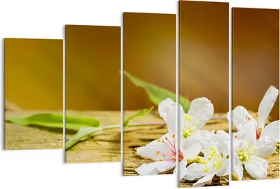 Produktbild von Bild auf Leinwand - Leinwandbild - Asien spa bambus blume - 150x100cm - Wand Bild - Wanddeko - Leinwanddruck - Bilder - Kunstdruck - Wanddekoration - Leinwand bilder - Wandkunst - EG150x100-2499