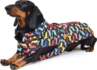 Produktbild von Fashion Dog Hunde-Steppmantel speziell für Dackel - 36 cm