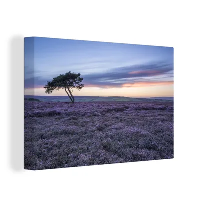 Produktbild von OneMillionCanvasses® - Leinwandbilder - 150x100 cm, Baum in der Heidelandschaft, Wandbilder Kunstdruck Wanddekoration