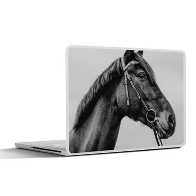 Produktbild von MuchoWow® Laptop Aufkleber Sticker Cover Pferd - Halfter - Porträt 31x22.5 cm - Laptop-Deko