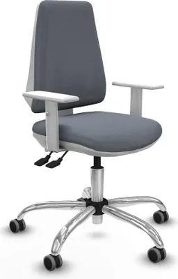 Produktbild von Bürostuhl Piqueras y Crespo B5B056G Grau
