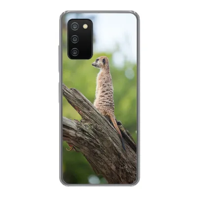Produktbild von MuchoWow® Handyhülle Schutzhülle Hülle für Samsung Galaxy A03s Erdmännchen - Ast - Baum Silikon Softcase Handy Hülle - Schutz