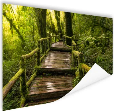 Produktbild von MuchoWow® Poster Schöner Regenwald und Dschungel 180x120 cm - Fotoplakat