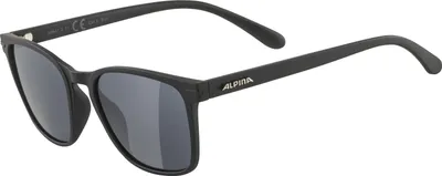 Produktbild von Alpina Sportbrillen