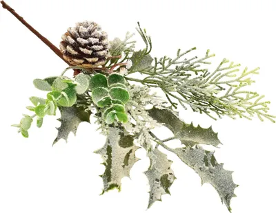 Produktbild von Grüner Zweig mit Rhizom 33 cm