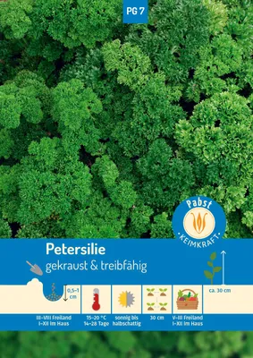 Artikelbild 1 von 'Petersilie Grüne Perle' aus der Kategorie Petersiliensamen