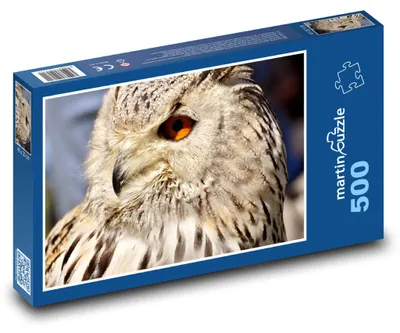 Zdjęcie produktu dla Puzzle 500 Sowa z Pomarańczowymi Oczami - martinpuzzle