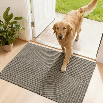 Immagine prodotto di Tappetino antiscivolo per interni ed esterni, 50x80 cm, color beige