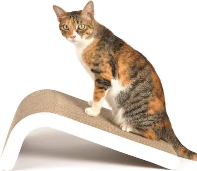 Produktbild von Katzenkratzbaum schräg, verstellbare Krabwinkel, mit Katzenminze, Karton, für Katzen