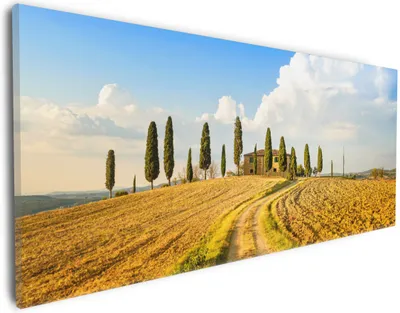 Produktbild von Wallario Premium Leinwandbild Italien - Toskana unter blauem Himmel  einsame Farm in Größe 30 x 75 cm