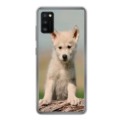 Produktbild von MuchoWow® Handyhülle Schutzhülle Hülle für Samsung Galaxy A41 Wolf - Kind - Holz Silikon Softcase Handy Hülle - Mobiltelefon