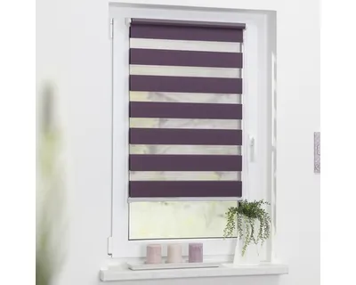 Obrázek produktu pro Lichtblick Duo upevnění rolety, bez vrtání Blackberry, 150 cm, 60 cm x 150 cm (š x d)