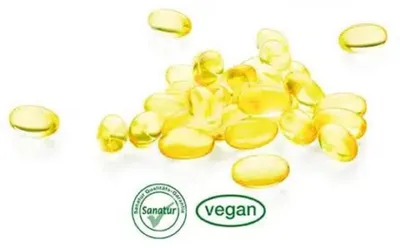 Produktbild von Sanatur DHA Plus Pflanzlich 80 Kapseln