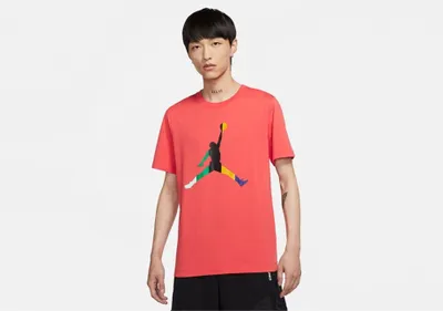 Produktbild von Tshirts Nike Air Jordan Sport CU1974631