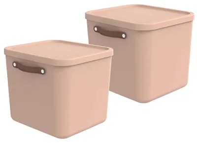 Produktbild von Rotho 2er-Set Aufbewahrungsbox 40L Maloja - Kunststoffbox mit Deckel - Stapelbox 39,5 x 38,0 x 34,0 cm - Plastikbox Ordnungsbox Allzweckkiste
