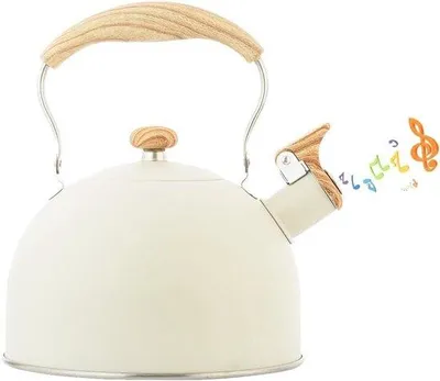Produktbild von Induktions- und Gaskochfeldtaugliche Edelstahlfluitketel 25l